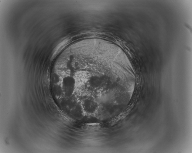 X0000097790053200804041245