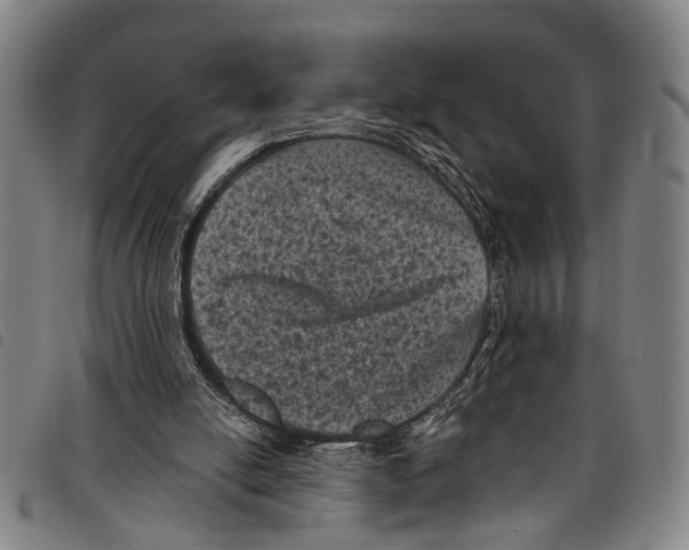 X0000097790054200804041245