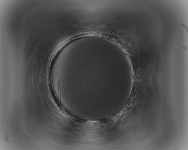 X0000097790055200804041245