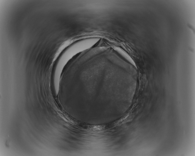 X0000097790056200804041245