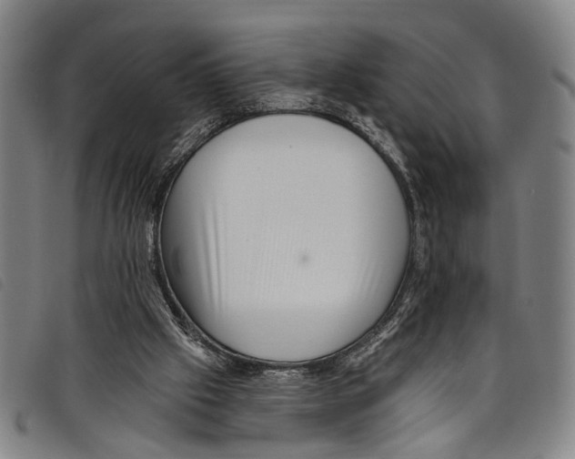 X0000097790057200804041245