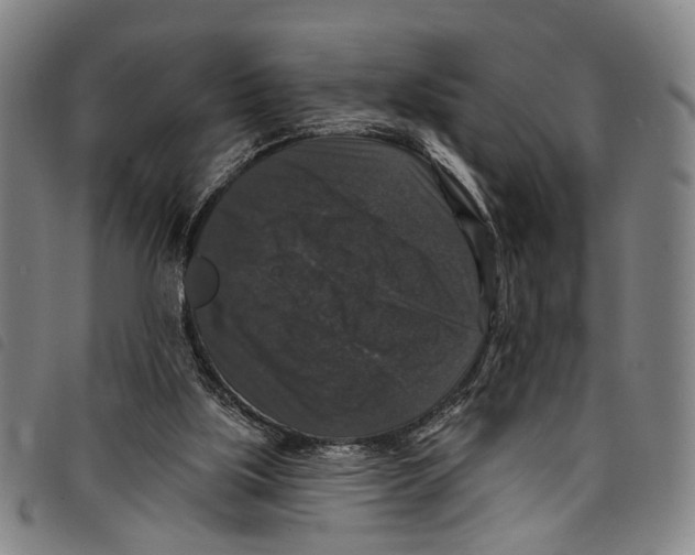 X0000097790059200804041245