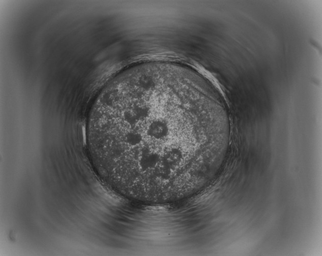 X0000097790061200804041245
