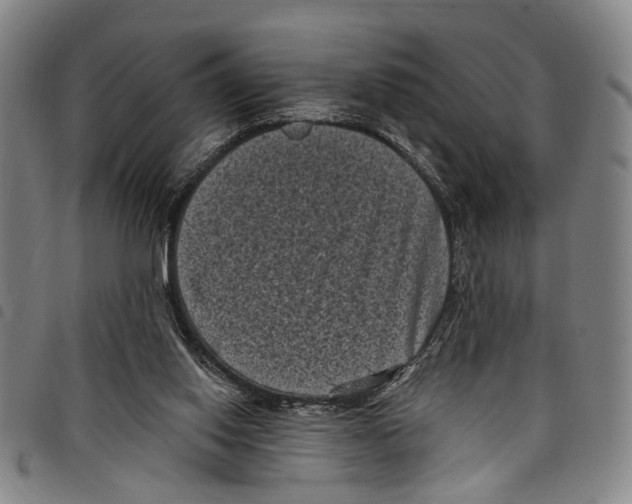 X0000097790062200804041245