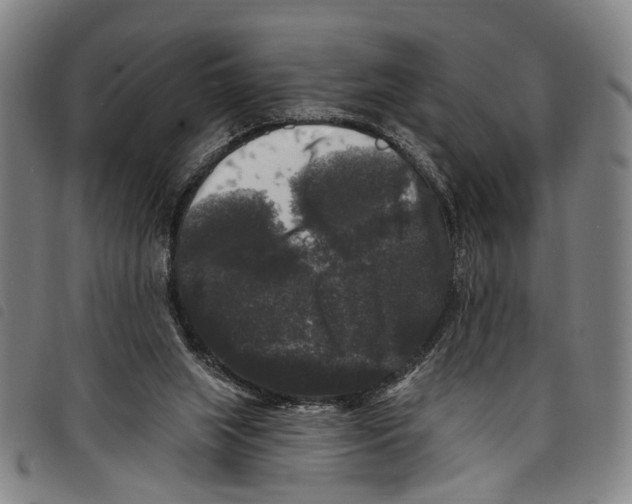 X0000097790063200804041245