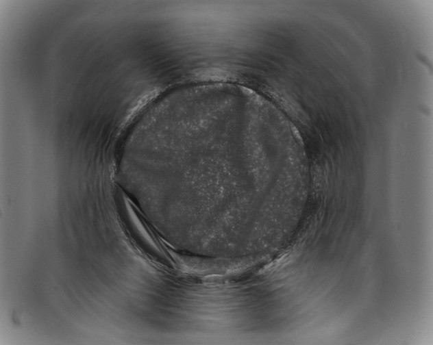 X0000097790064200804041245