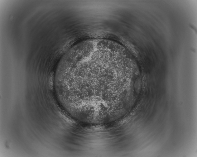 X0000097790065200804041245
