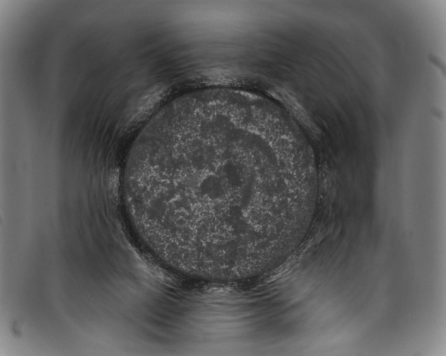 X0000097790066200804041245
