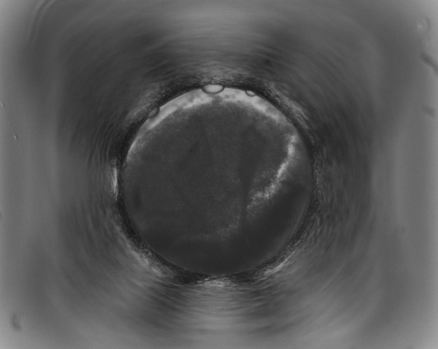 X0000097790067200804041245
