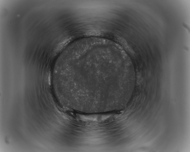 X0000097790068200804041245