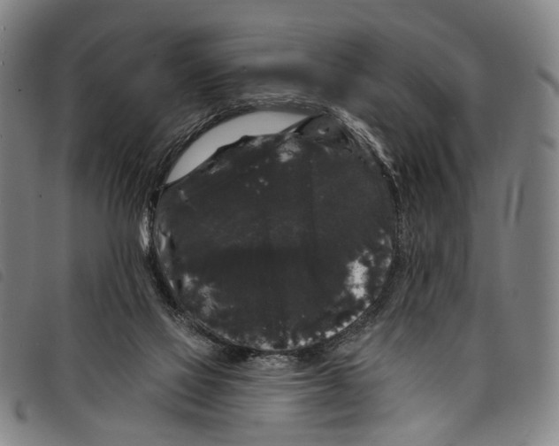 X0000097790069200804041245