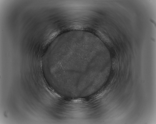 X0000097790072200804041245