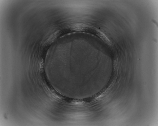 X0000097790073200804041245
