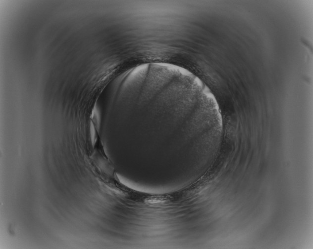 X0000097790076200804041245