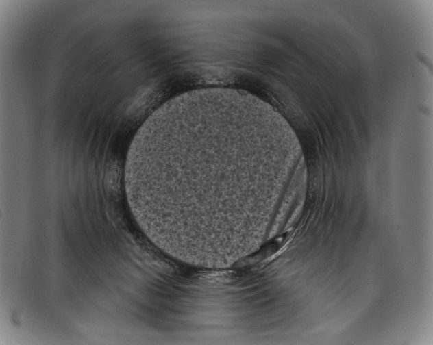 X0000097790078200804041245