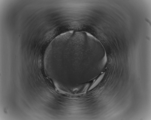 X0000097790080200804041245
