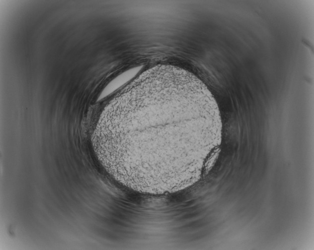 X0000097790081200804041245