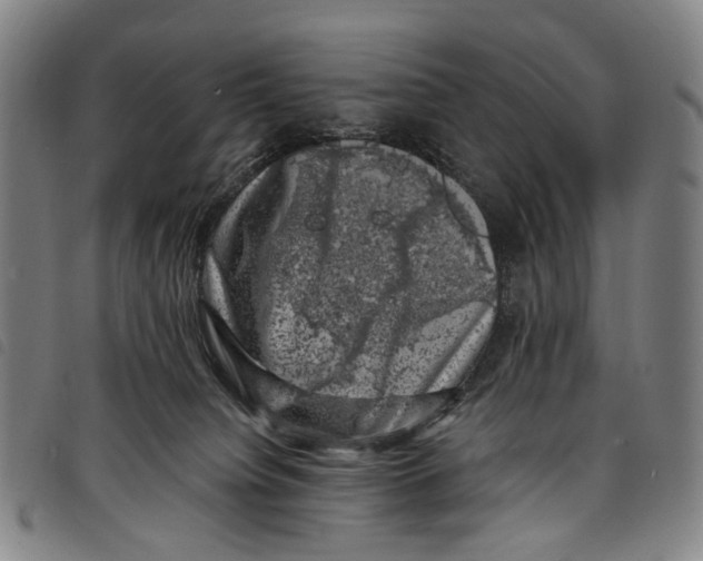 X0000097790084200804041245