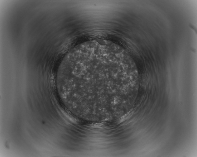 X0000097790086200804041245