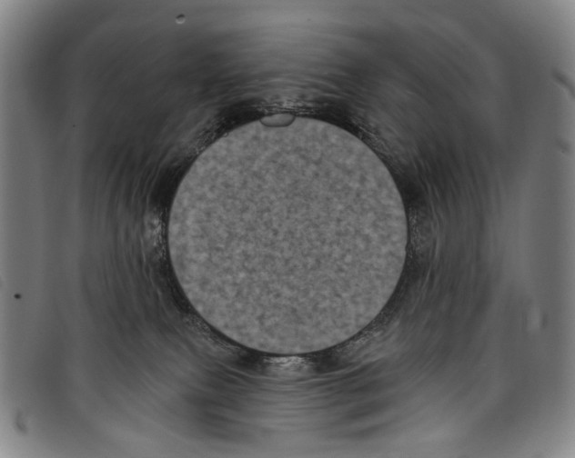 X0000097790087200804041245