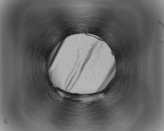 X0000097790088200804041245