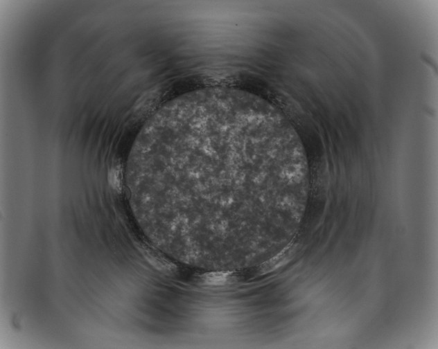 X0000097790090200804041246