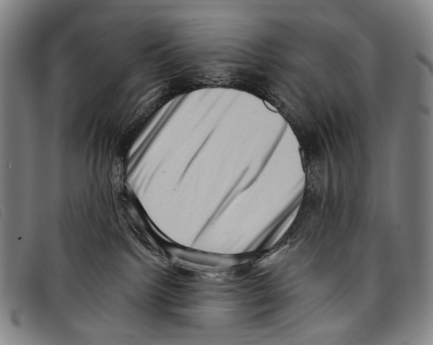 X0000097790092200804041246