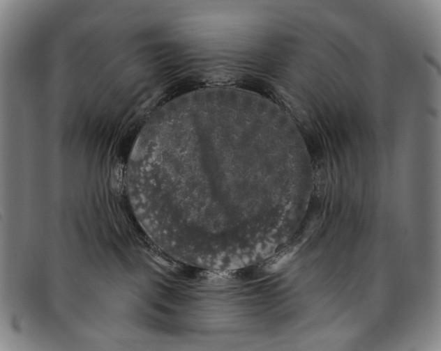 X0000097790093200804041246