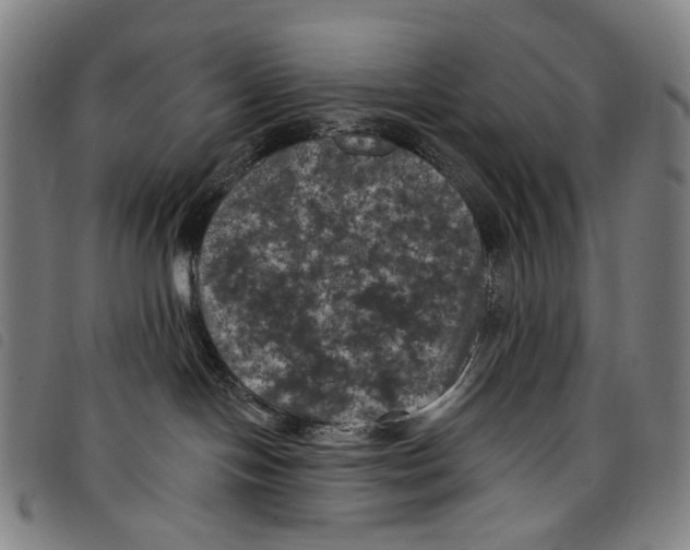 X0000097790094200804041246