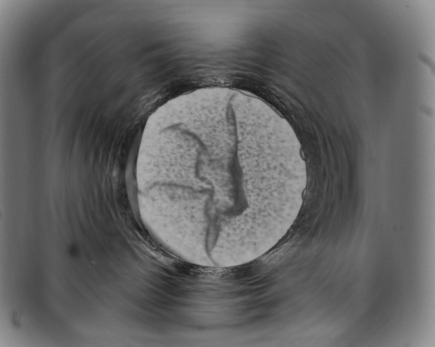 X0000097790096200804041246