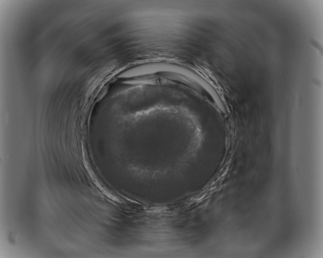 X0000097790097200804041245