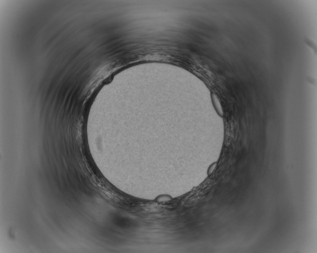 X0000097790098200804041245