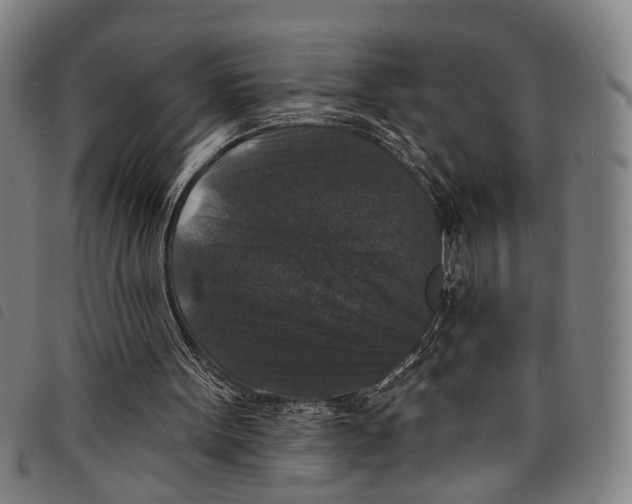 X0000097790099200804041245