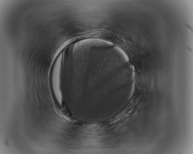 X0000097790100200804041245