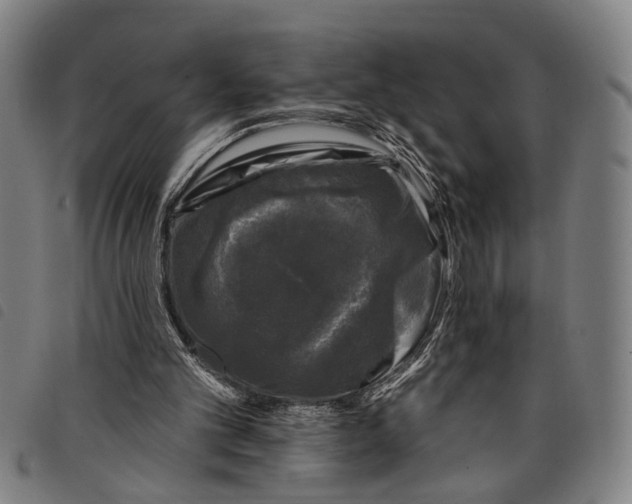 X0000097790101200804041245