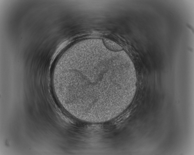 X0000097790102200804041245