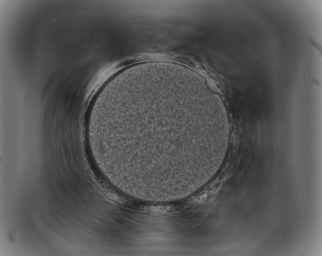 X0000097790103200804041245