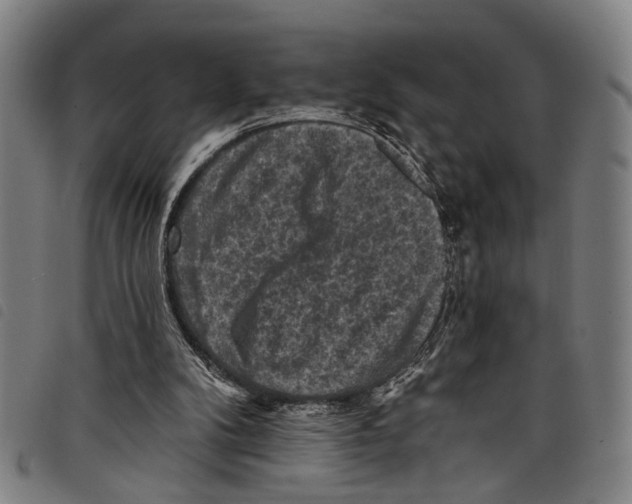 X0000097790104200804041245