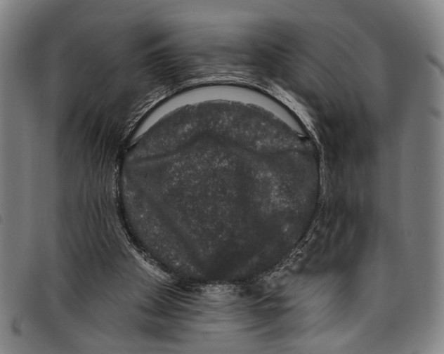 X0000097790105200804041245