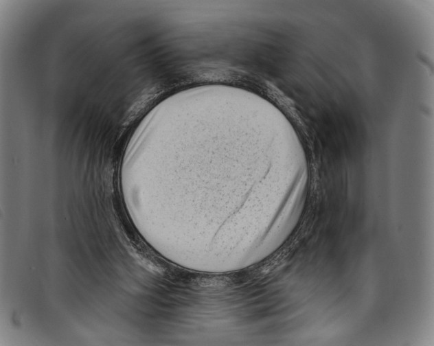 X0000097790106200804041245