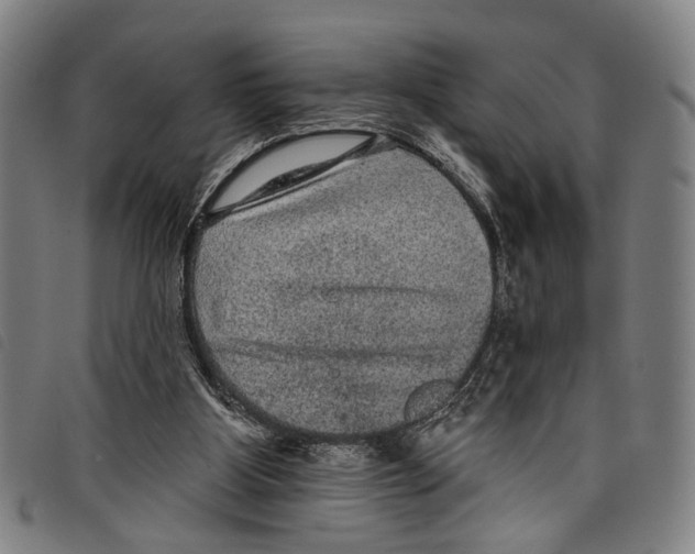 X0000097790107200804041245