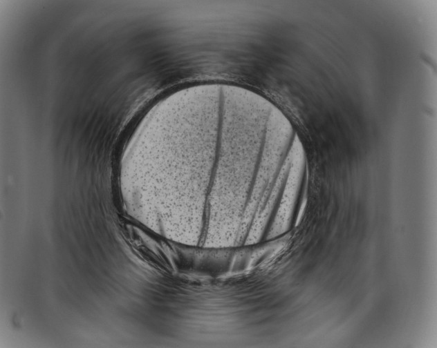 X0000097790108200804041245
