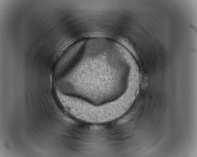 X0000097790109200804041245