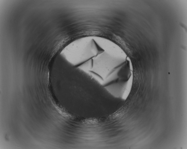 X0000097790110200804041245