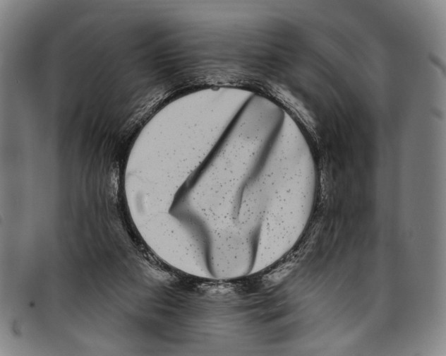 X0000097790113200804041245