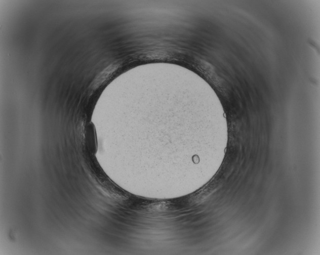 X0000097790116200804041245
