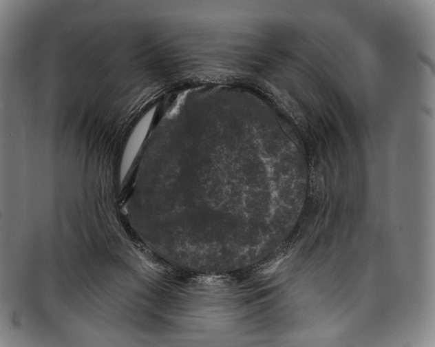X0000097790117200804041245