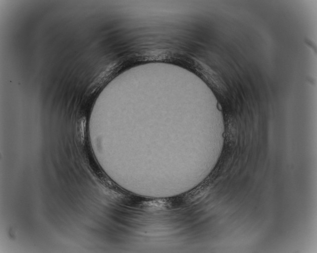 X0000097790118200804041245