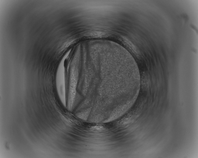 X0000097790119200804041245