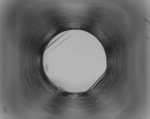 X0000097790120200804041245